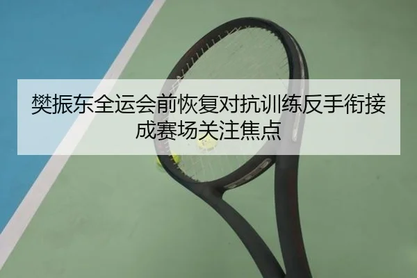 樊振东全运会前恢复对抗训练反手衔接成赛场关注焦点